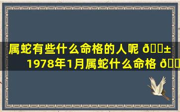 属蛇有些什么命格的人呢 🐱 「1978年1月属蛇什么命格 🌷 」